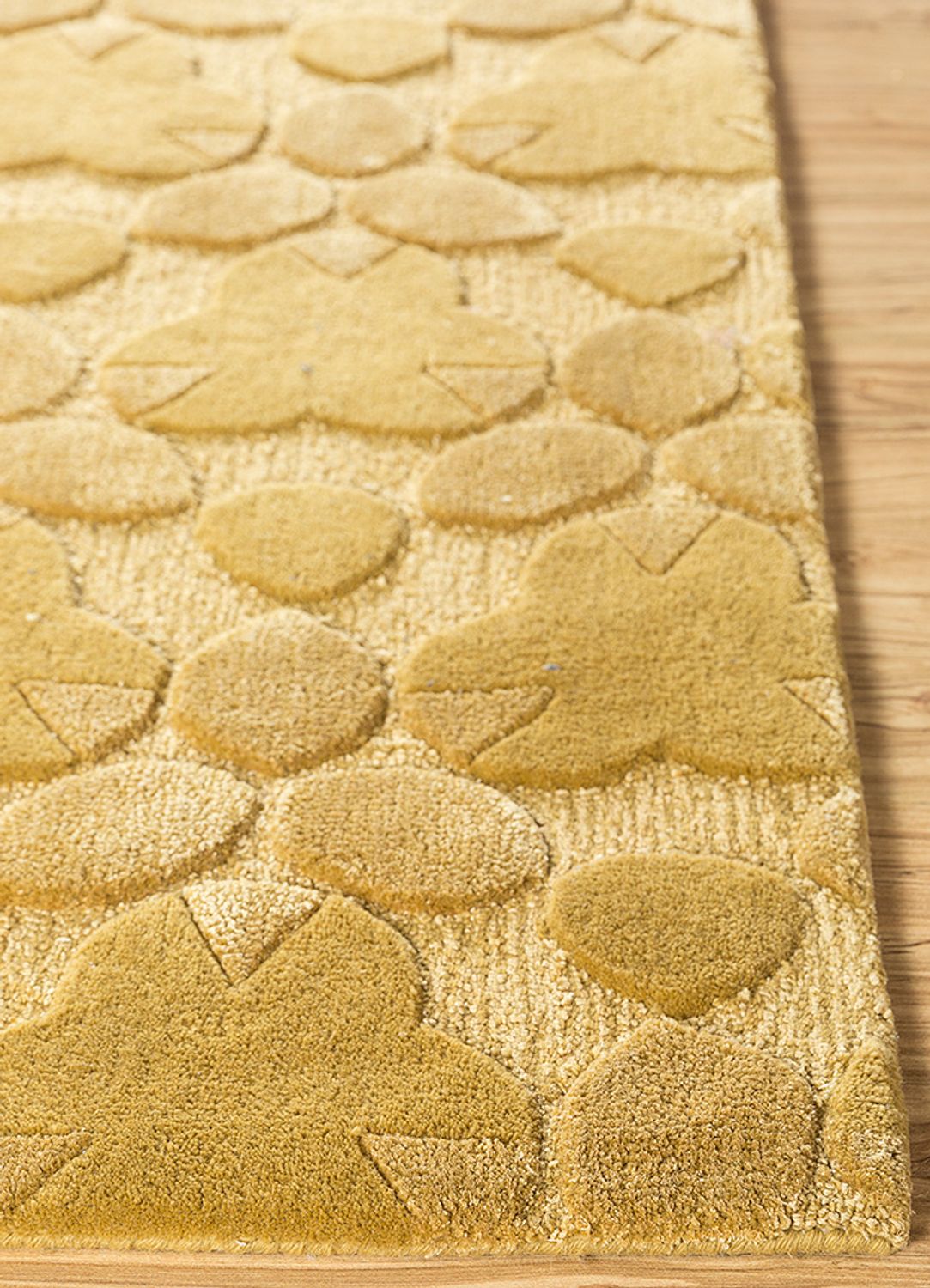 DP02-RUG1098694-240x170