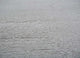 DP02-RUG1102379-270x180