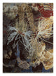 Tappeto di lana 240x300cm - Tappeto di lana