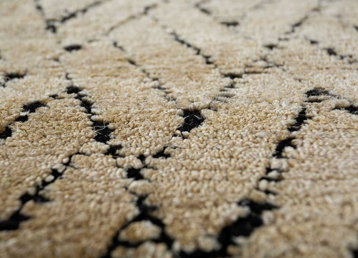 DP02-RUG1124449-300x240