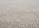 DP02-RUG1151974-300x240