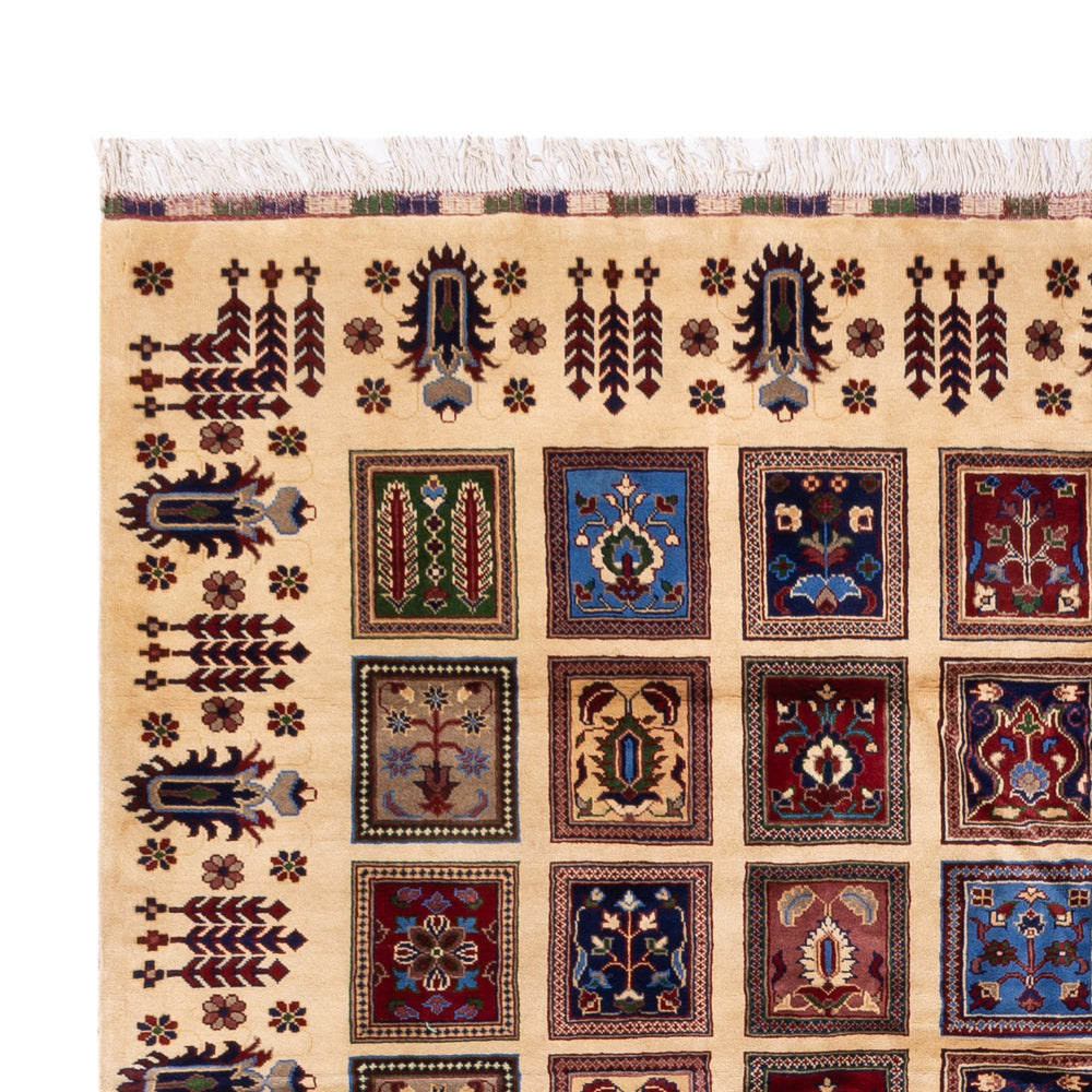 Afghan Teppich - 340 x 250 cm - mehrfarbig