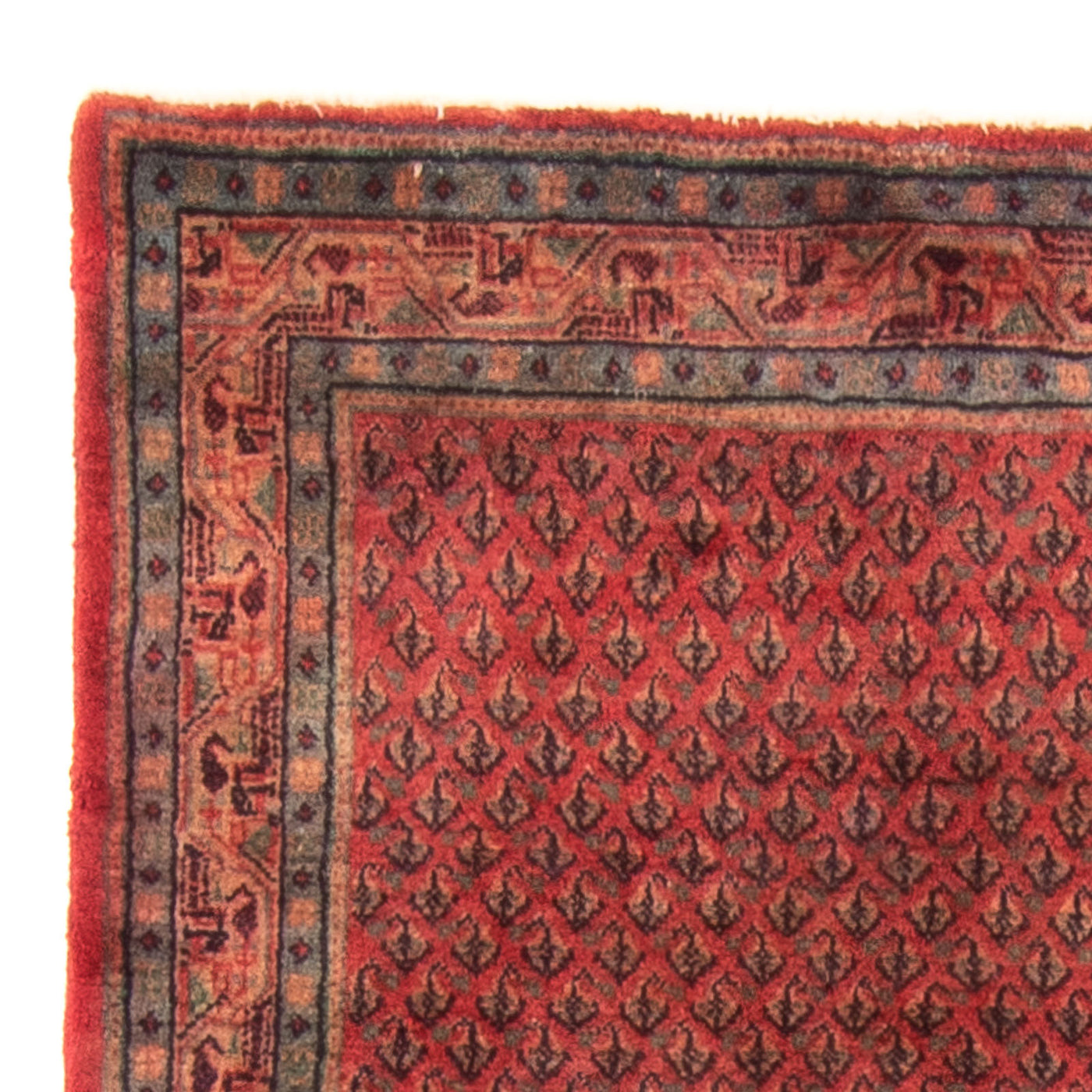 Tapis de Mir Tapis 160x95cm - Tapis persan