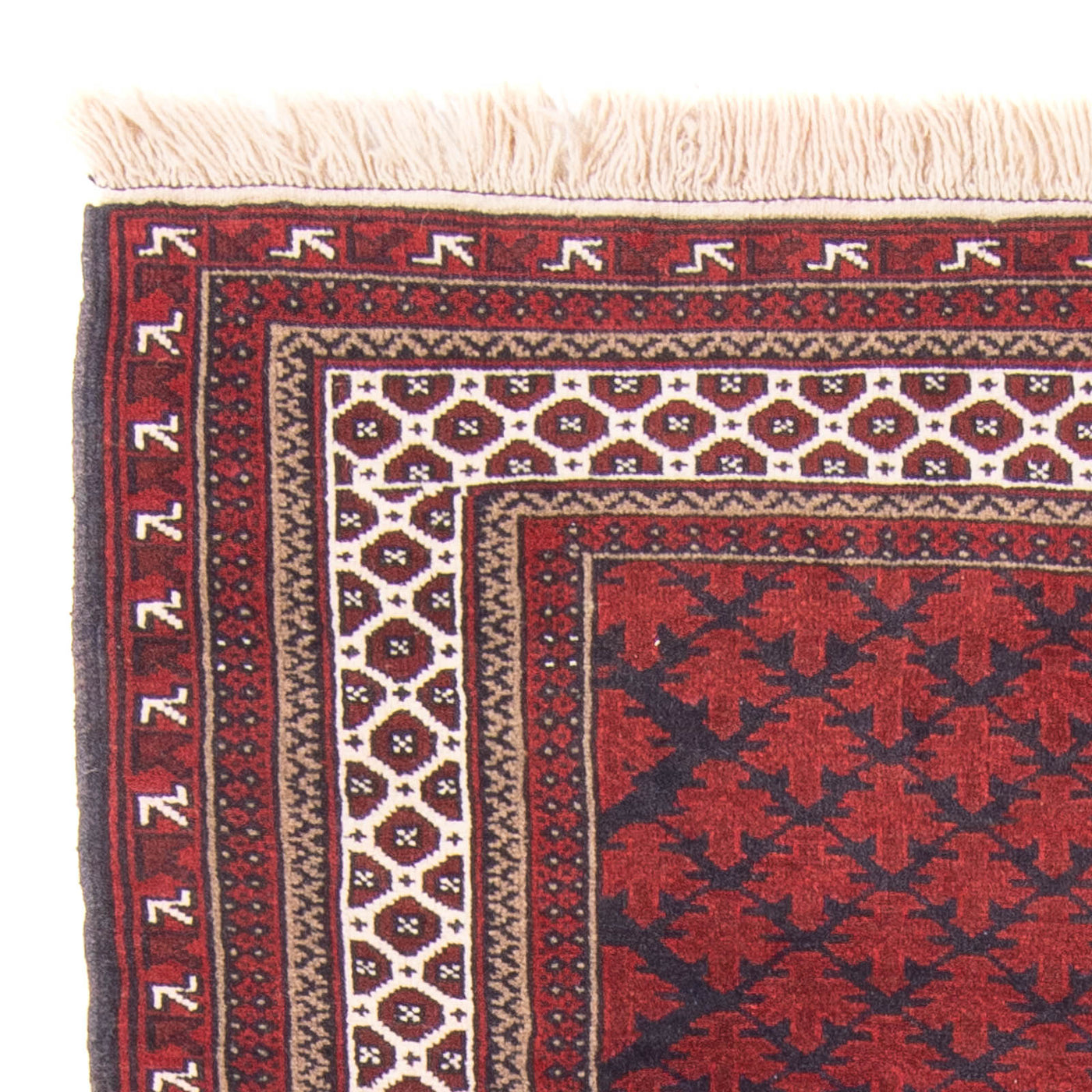 Tapis Belutsch 154x92cm - Tapis oriental
