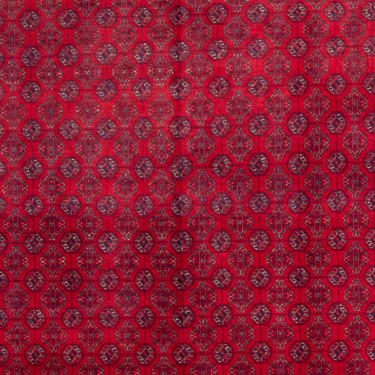 Afghan Teppich - Buchara - 340 x 240 cm - rot