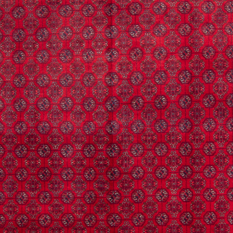 Afghan Teppich - Buchara - 340 x 240 cm - rot