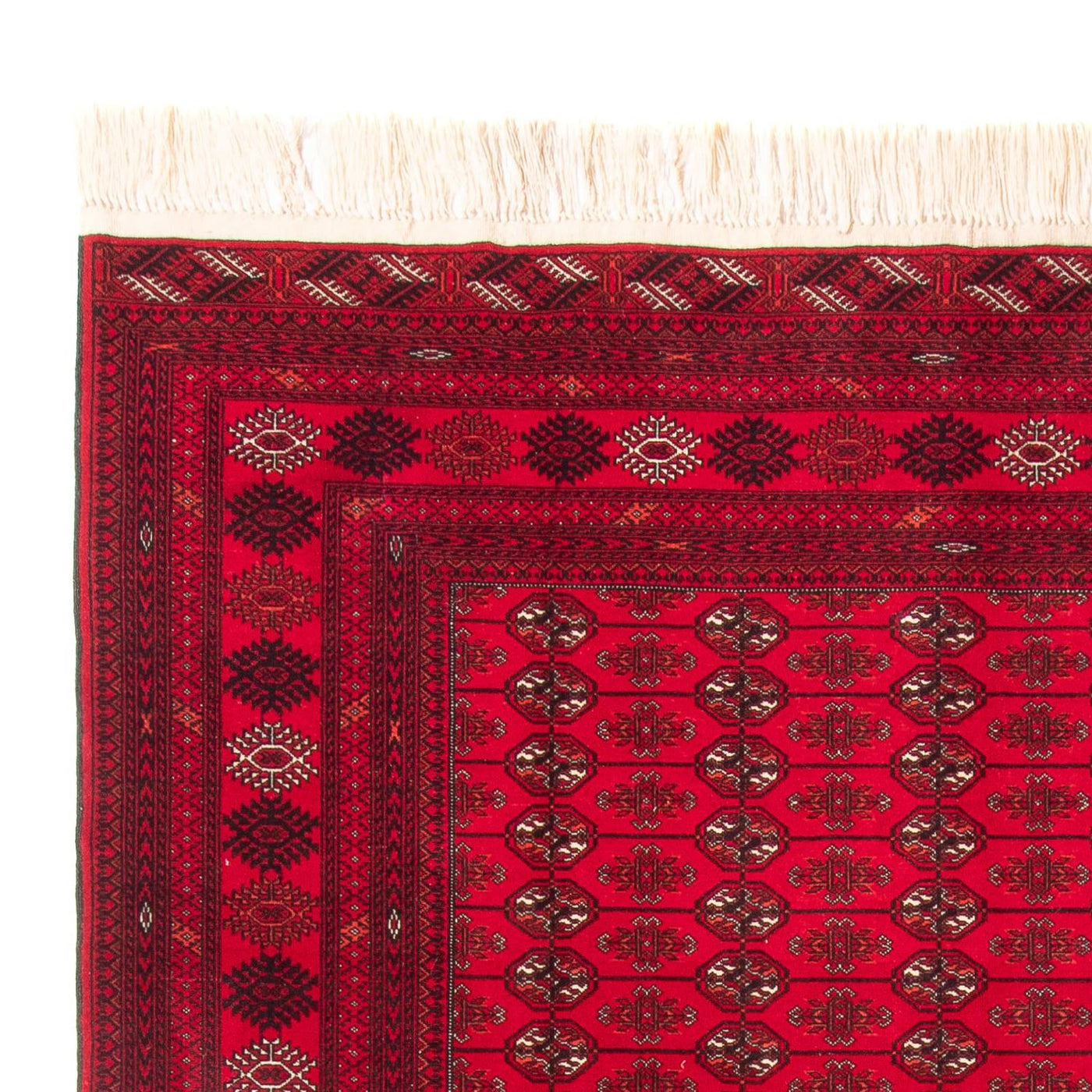 Tapis de Boukhara Tapis 282x200cm - Tapis oriental