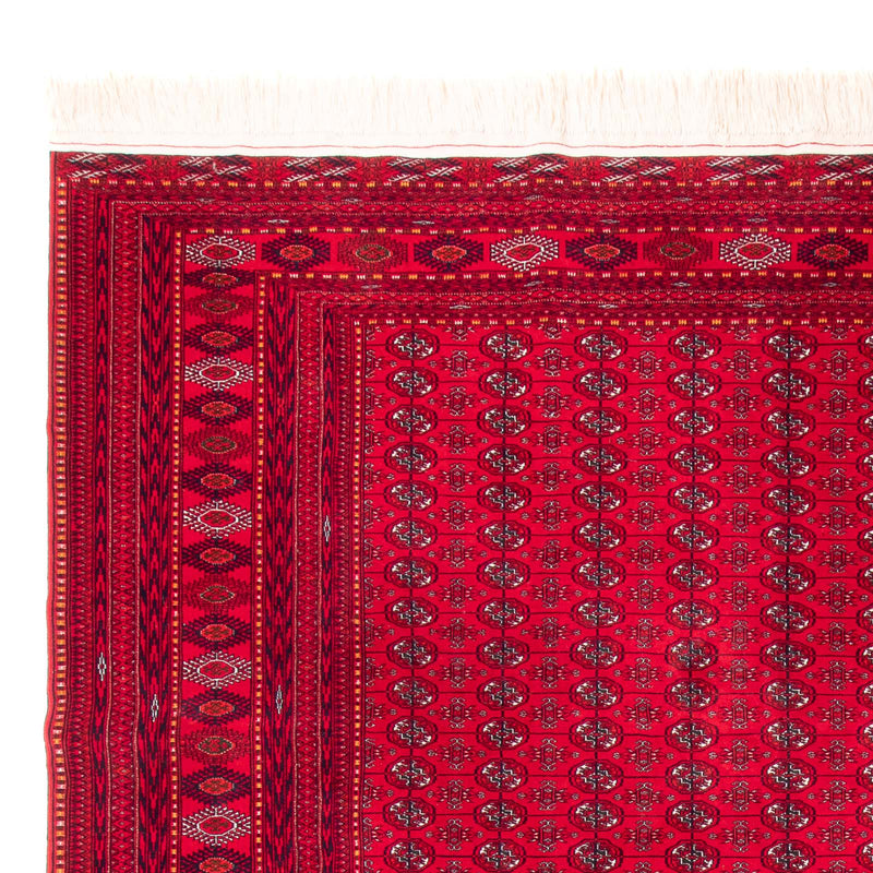 Afghan Teppich - Buchara - 395 x 310 cm - rot