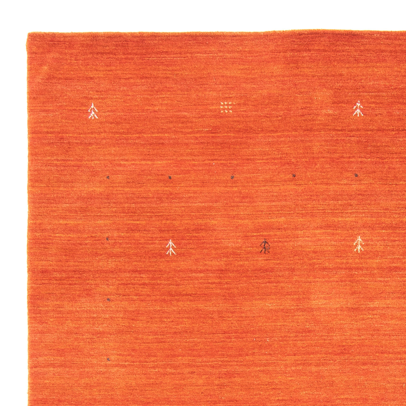 Tapis Gabbeh tissé Tapis 244x172cm - Tapis en laine