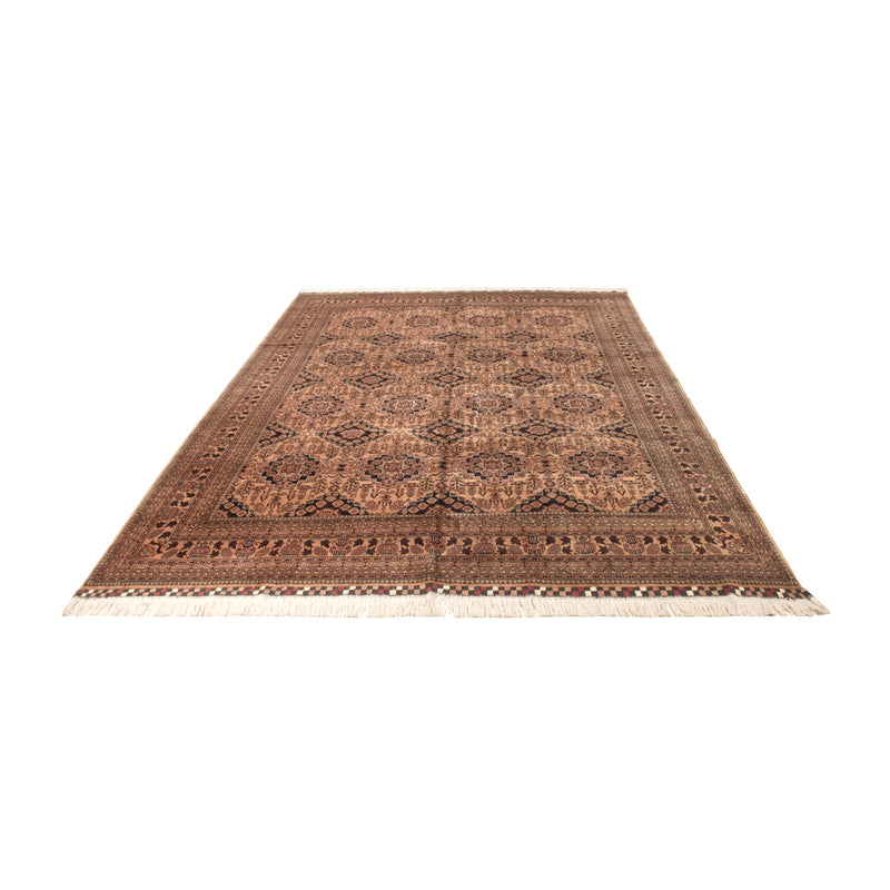 Afghan Teppich - Buchara - 344 x 246 cm - dunkelbeige