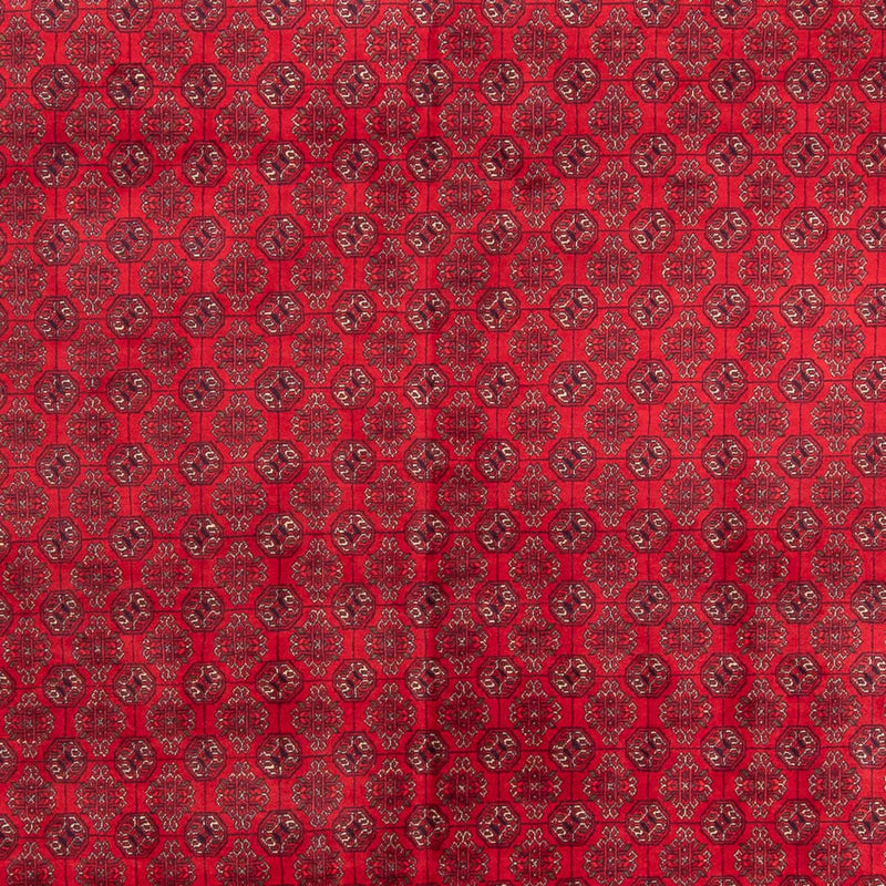 Afghan Teppich - 343 x 248 cm - rot