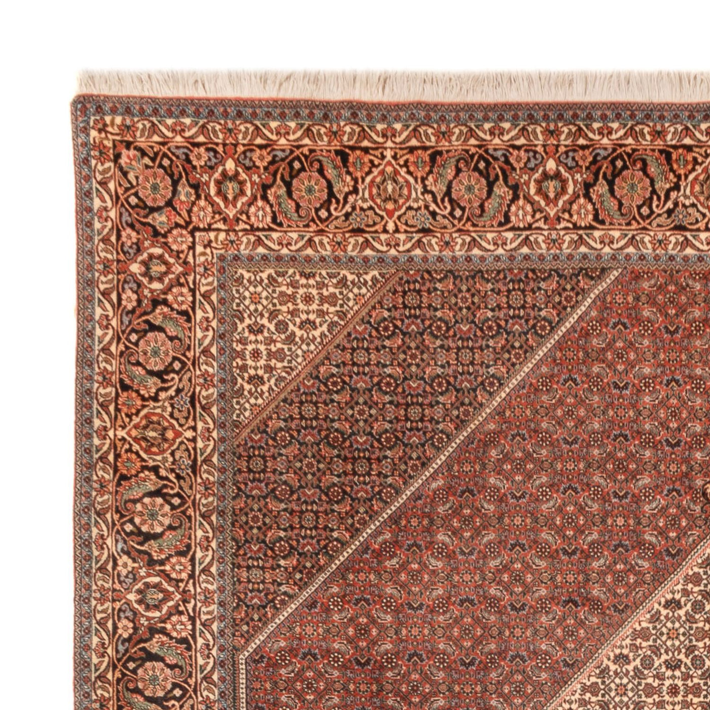 Bidjar - Bukan Teppich 300x255cm - Perserteppich