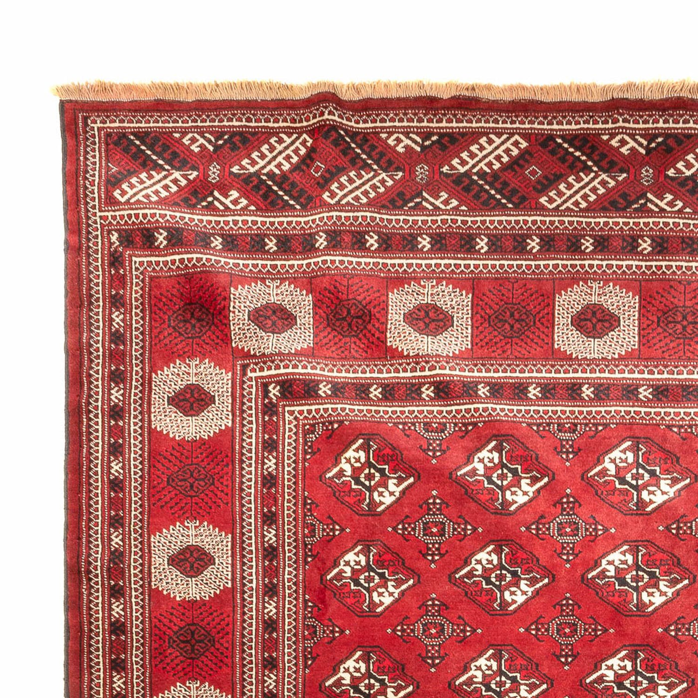 Turkaman Teppich 391x270cm - Orientteppich