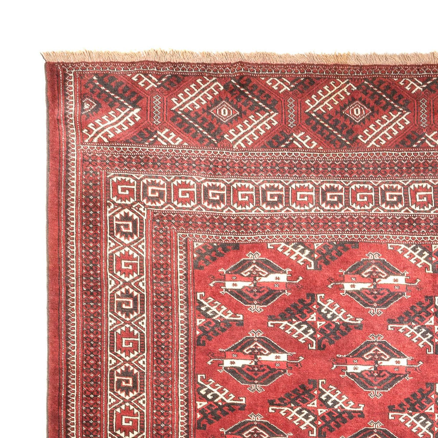 Tappeto Turkaman 390x280cm - Tappeto persiano