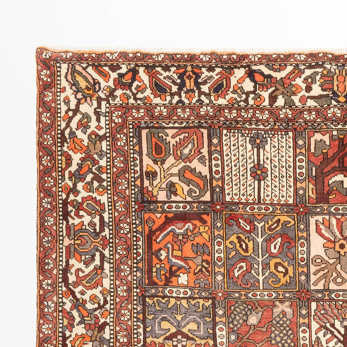 Tapis Bakhtiari Tapis 302x210cm - Tapis persan