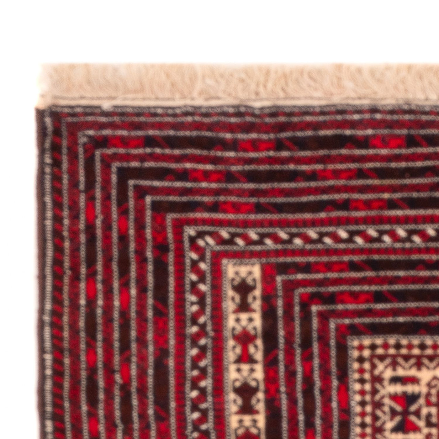 Tapis Belutsch 250x250cm - Tapis oriental