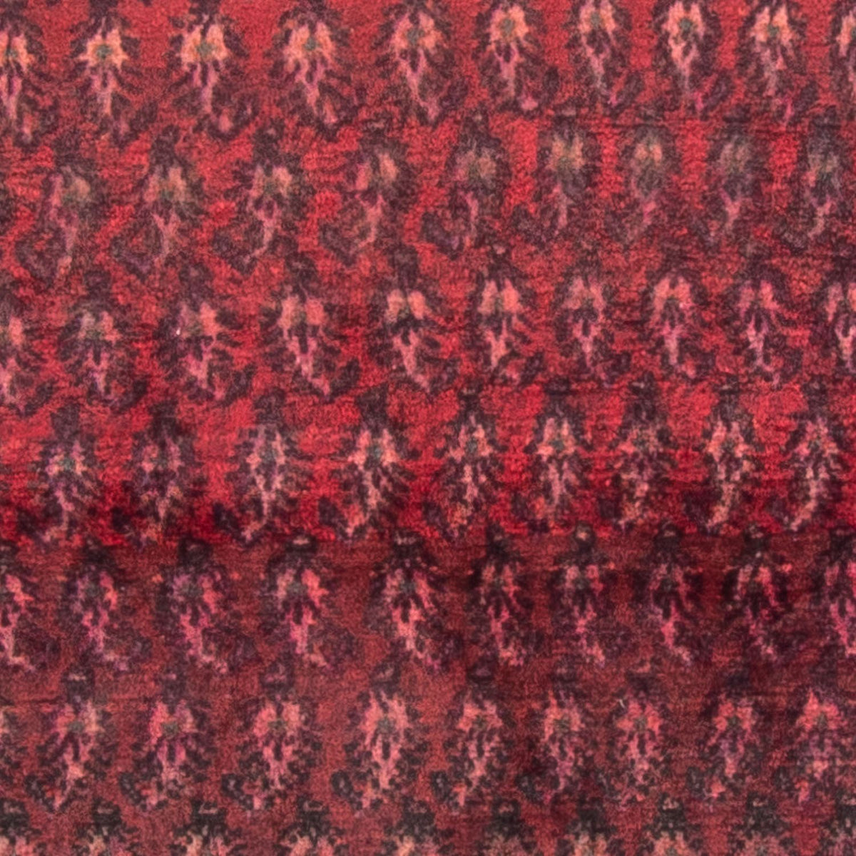 Tapis persan - Nomadic - 150 x 140 cm - rouge