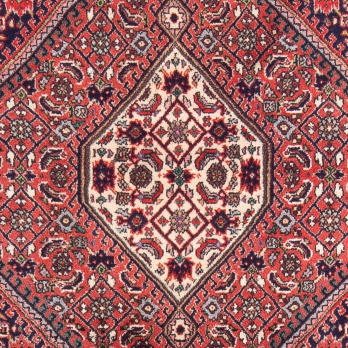 Perserteppich - Bidjar - 105 x 75 cm - rot