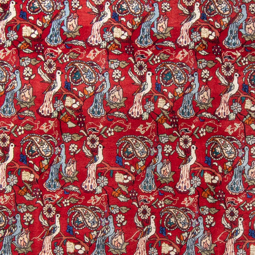 Perserteppich - Bidjar - 280 x 180 cm - rot