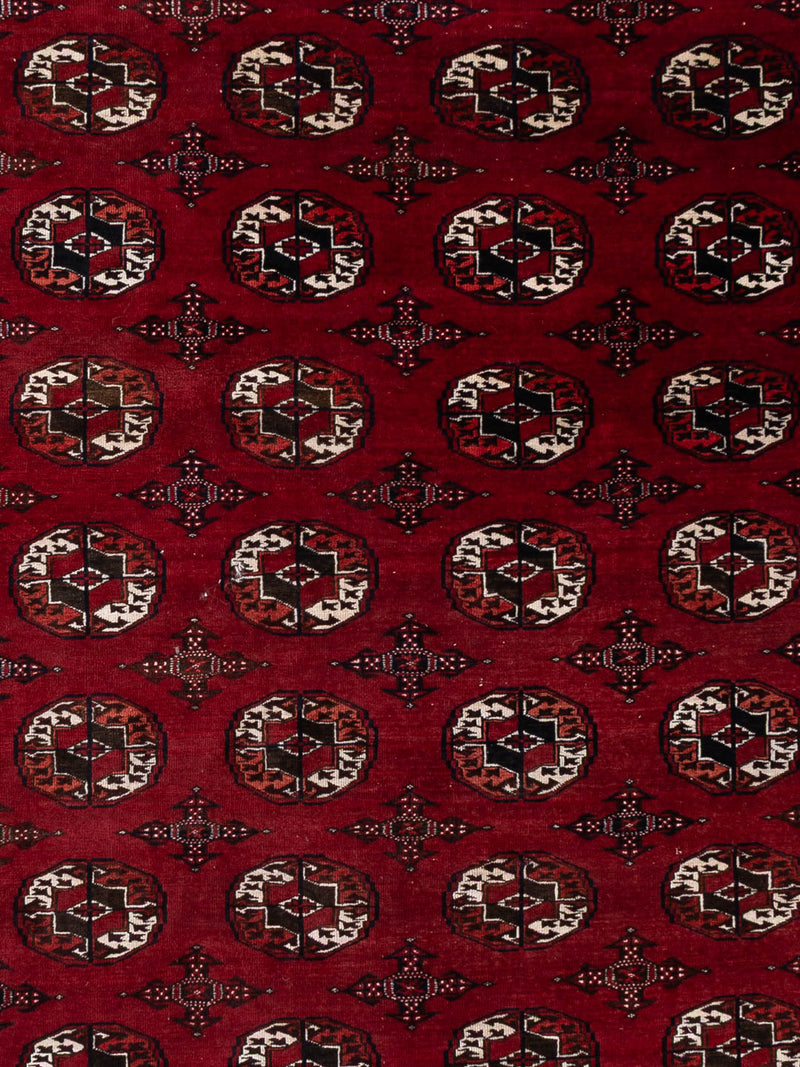 Afghan Teppich - Buchara - 350 x 250 cm - dunkelrot