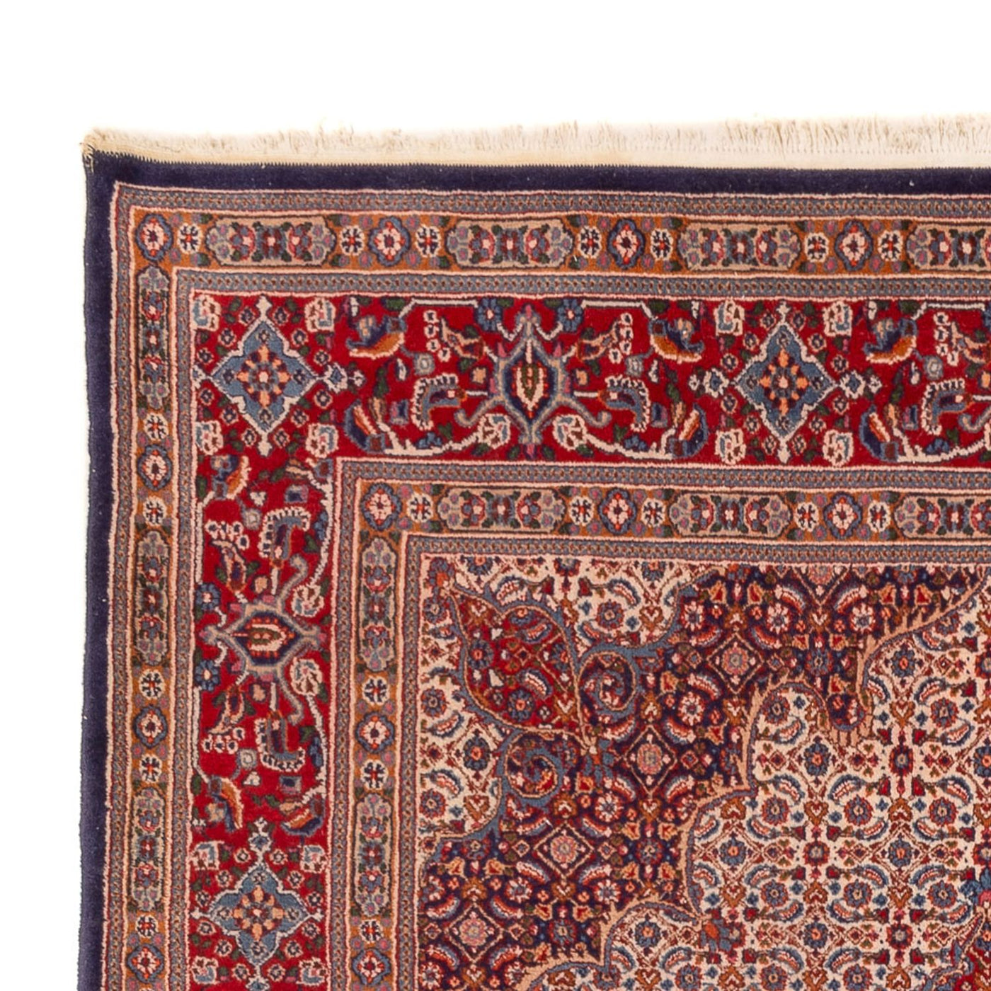 Tapis de Moud Tapis 303x210cm - Tapis persan