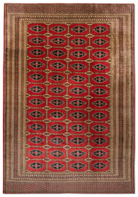 Tapis afghan - Boukhara - 292 x 188 cm - rouge