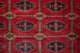 Afghan Teppich - Buchara 292 x 188 cm
