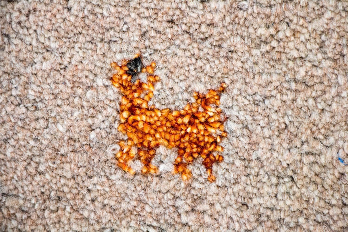 Gabbeh Teppich - Indus 200 x 140 cm - braun