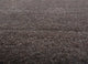 Wollteppich - 450 x 360 cm - beige