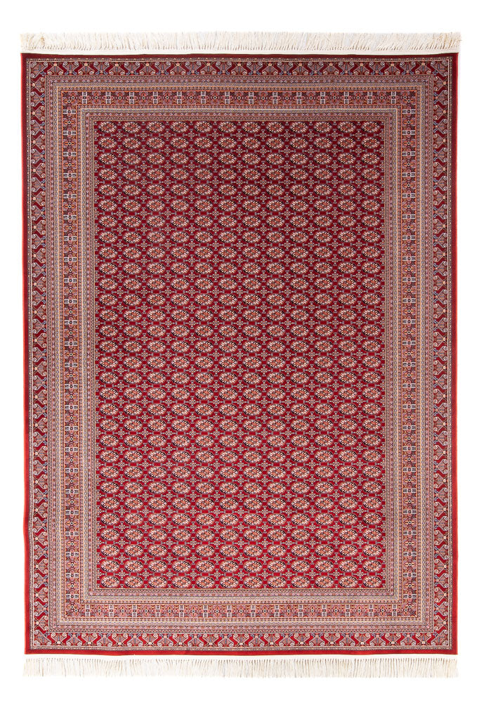 RD12-2492-225x150