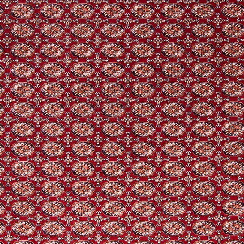 RD12-2492-225x150