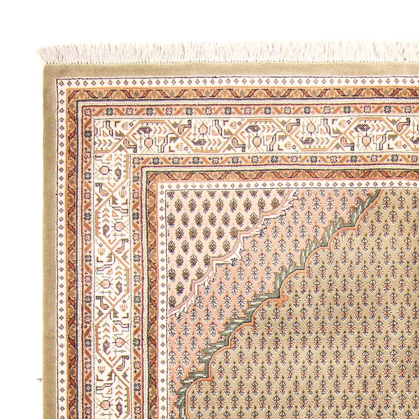 Tapis de Mir indien Tapis 238x176cm - Tapis oriental