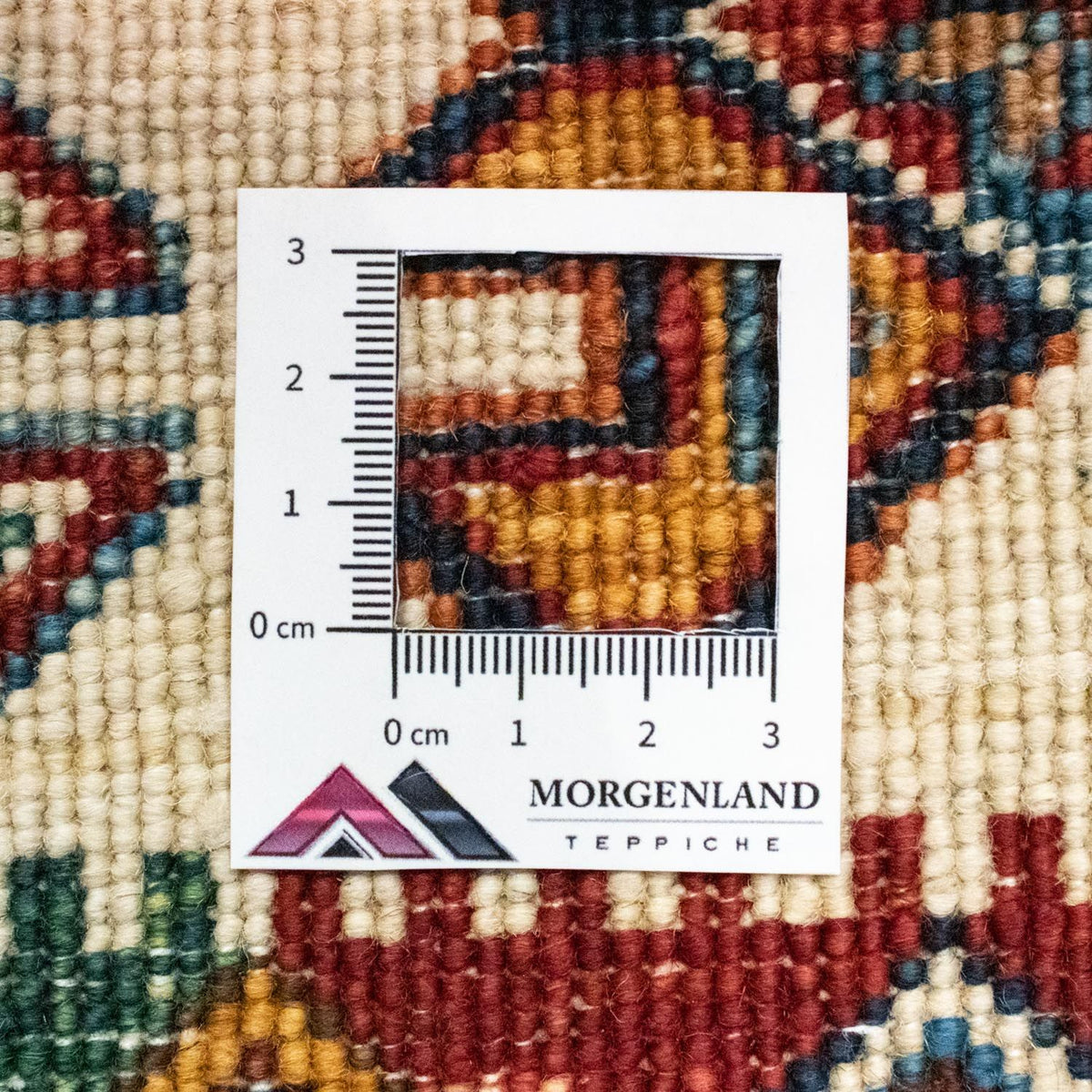 Ziegler Teppich - Shal 241 x 174 cm