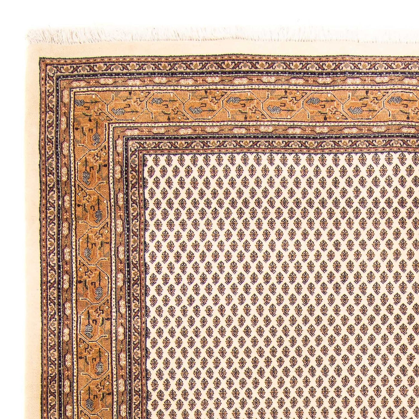 Tapis de Mir indien Tapis 238x176cm - Tapis oriental