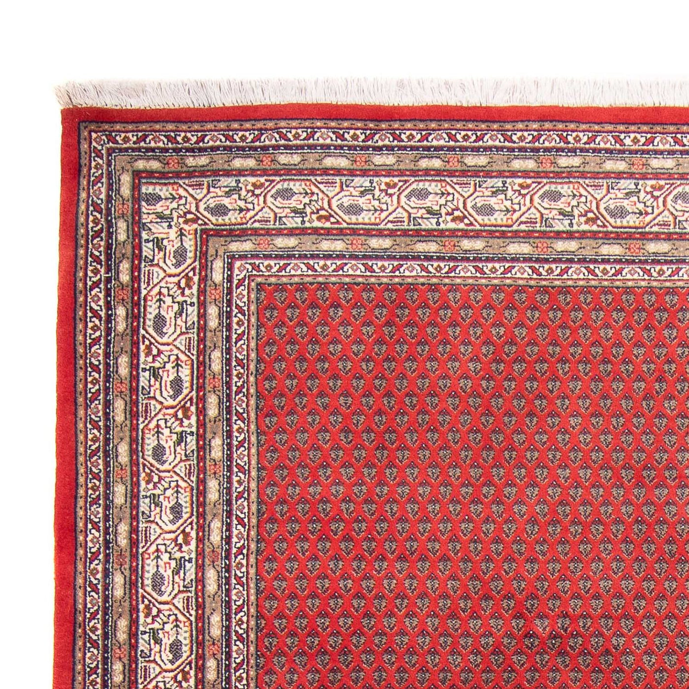 Tapis de Mir indien Tapis 239x173cm - Tapis oriental