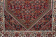 Läufer Perser - Bidjar - 246 x 79 cm - bordeauxrot