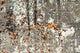Designer Teppich - 308 x 247 cm - mehrfarbig