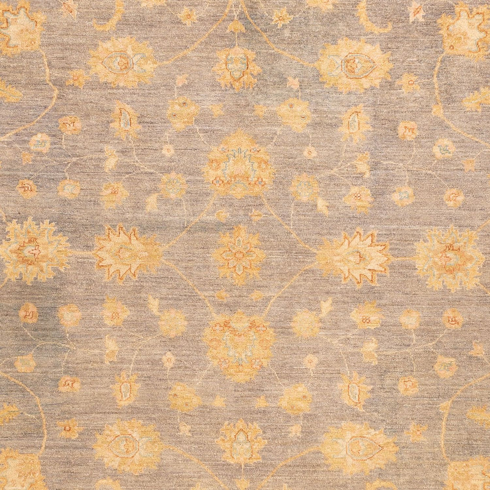 Ziegler Teppich - 351 x 254 cm - beige