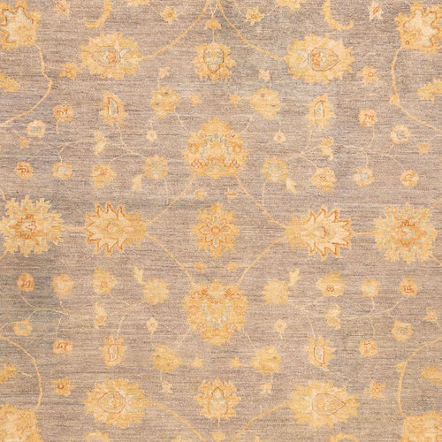 Ziegler Teppich - 351 x 254 cm - beige