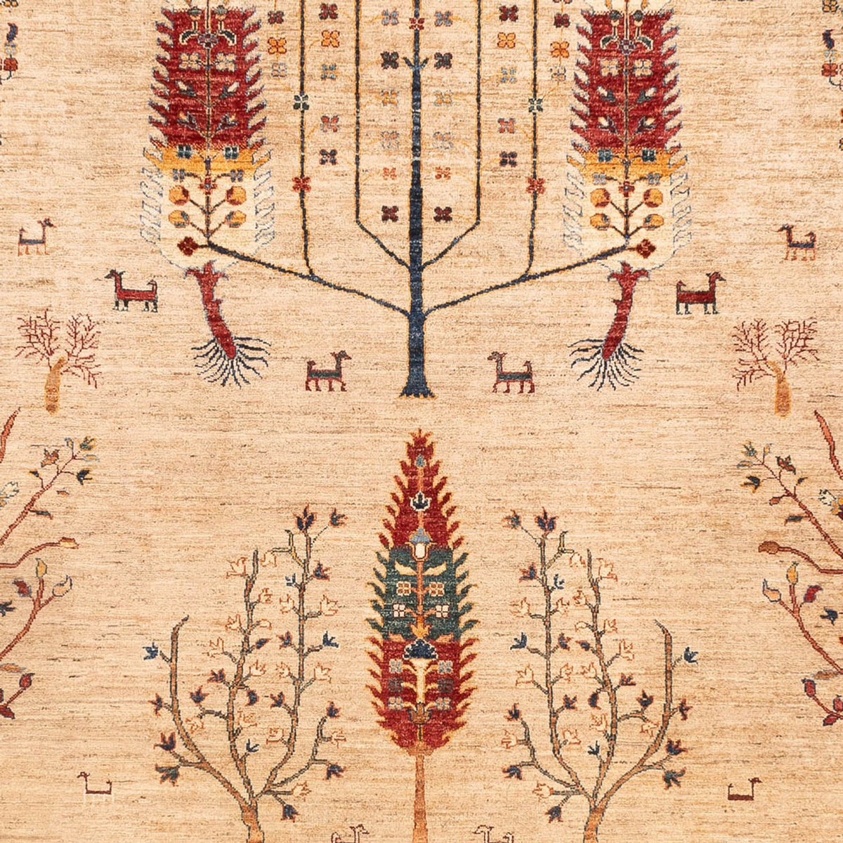 Ziegler Teppich - Ariana - 352 x 241 cm - beige