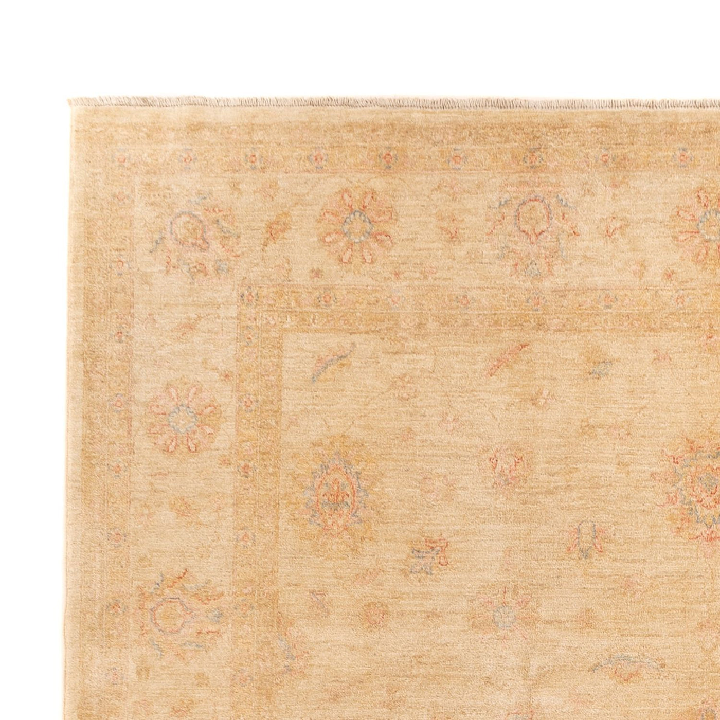 Ziegler Teppich - 350 x 252 cm - beige