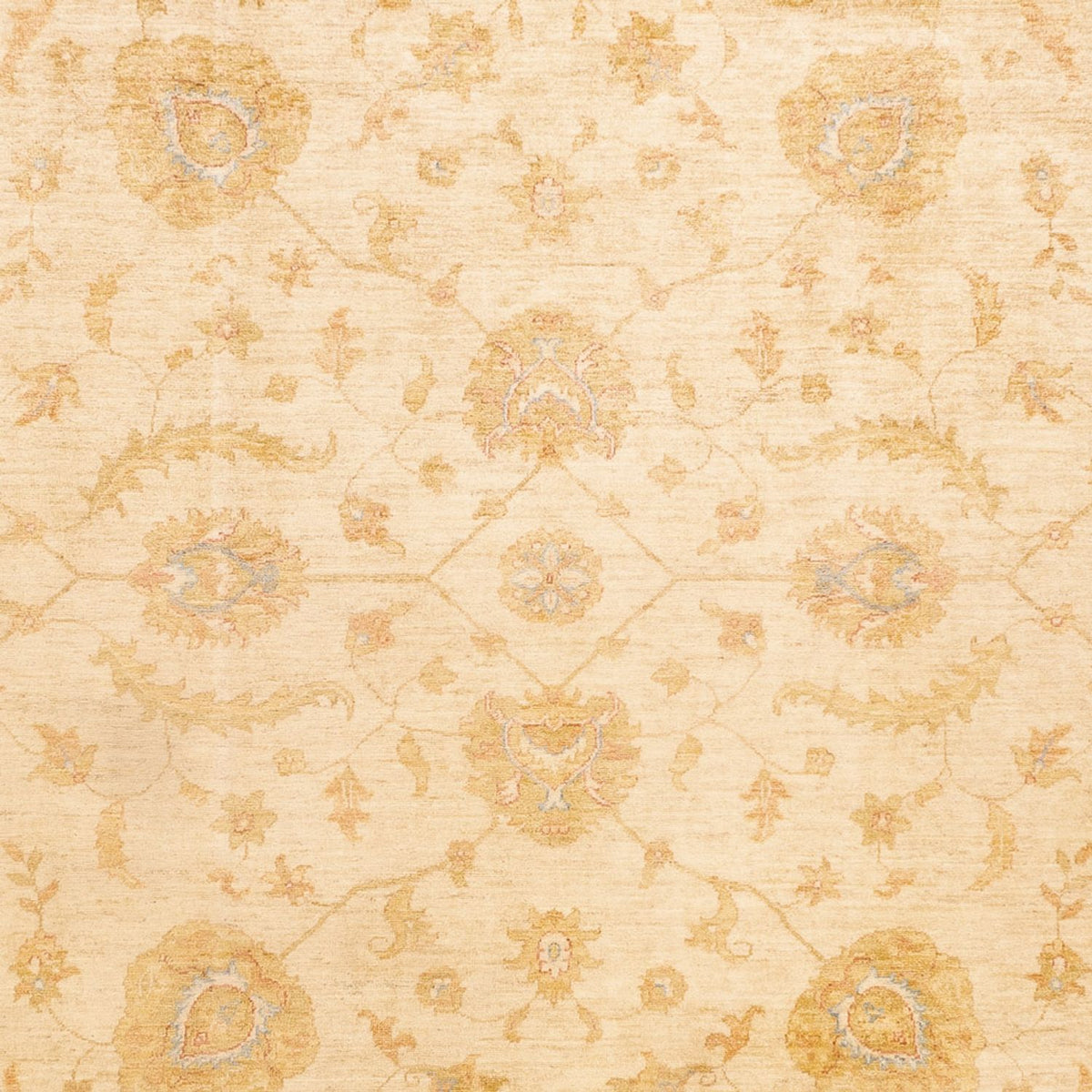 Ziegler Teppich - 345 x 255 cm - beige