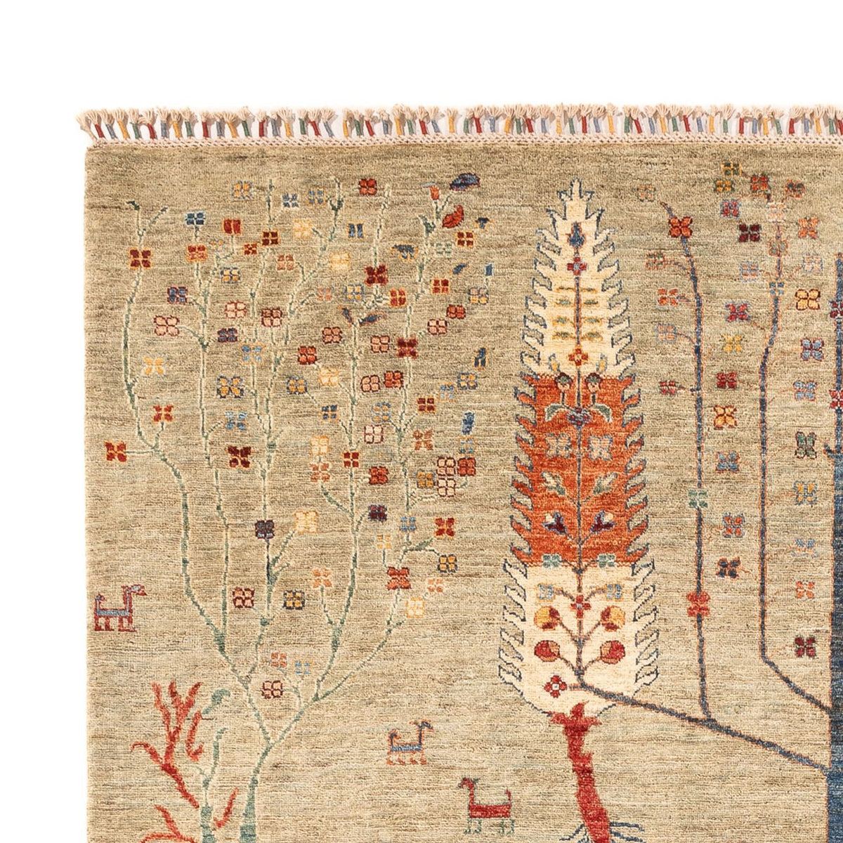 Ziegler Teppich - Ariana - 299 x 210 cm - sand