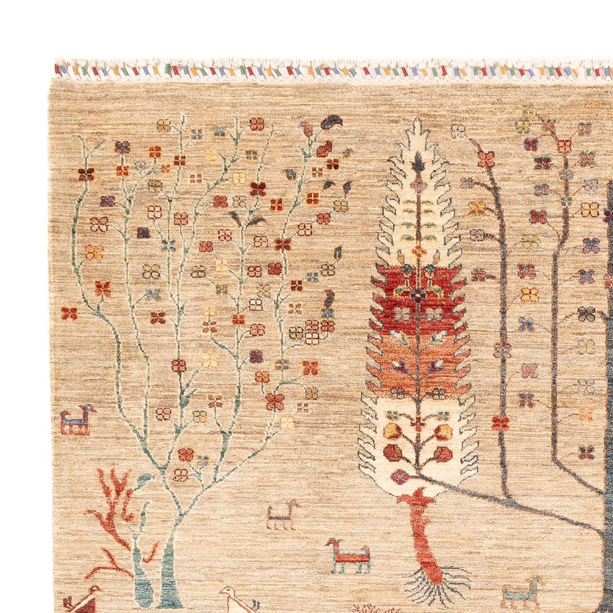 Ziegler Teppich - Ariana - 285 x 207 cm - hellbeige