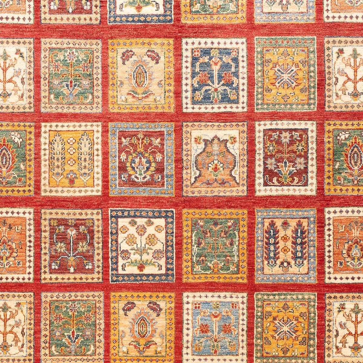 Ziegler Teppich - Bachtiari - 239 x 169 cm - mehrfarbig