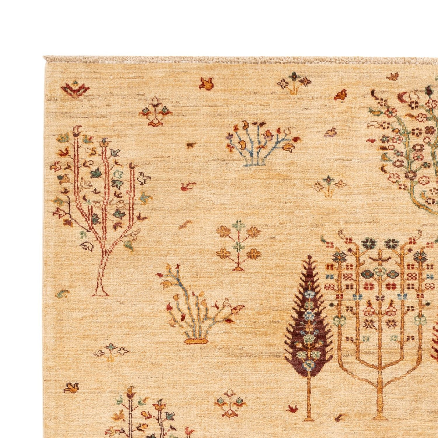 Ariana Tapis 244x173cm - Tapis oriental