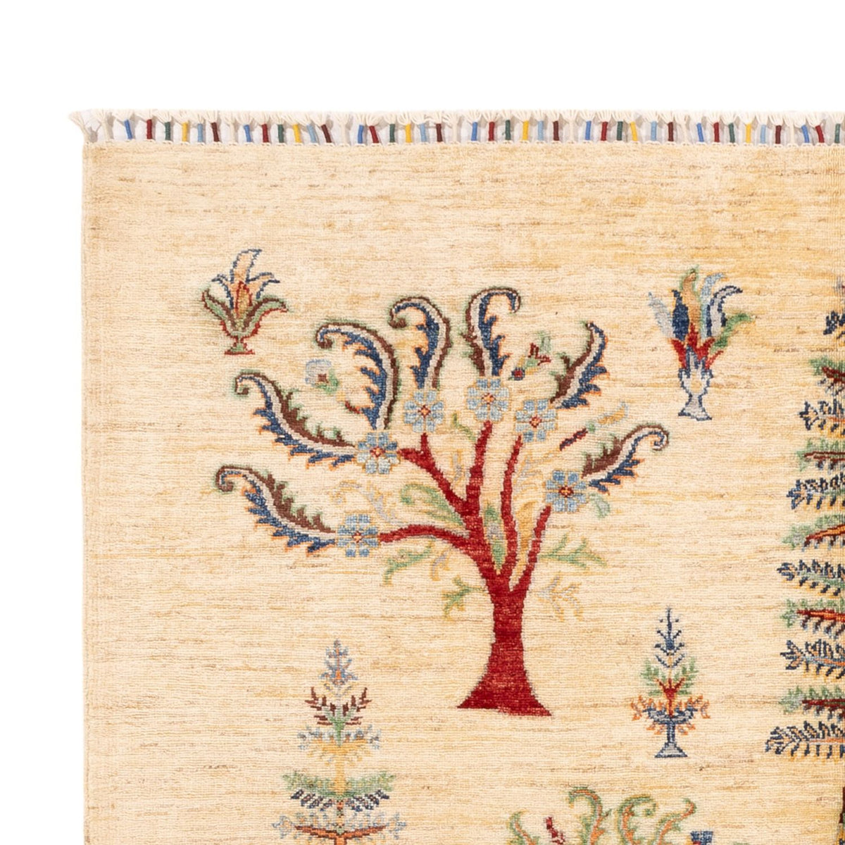 Ziegler Teppich - Ariana - 244 x 172 cm - hellbeige