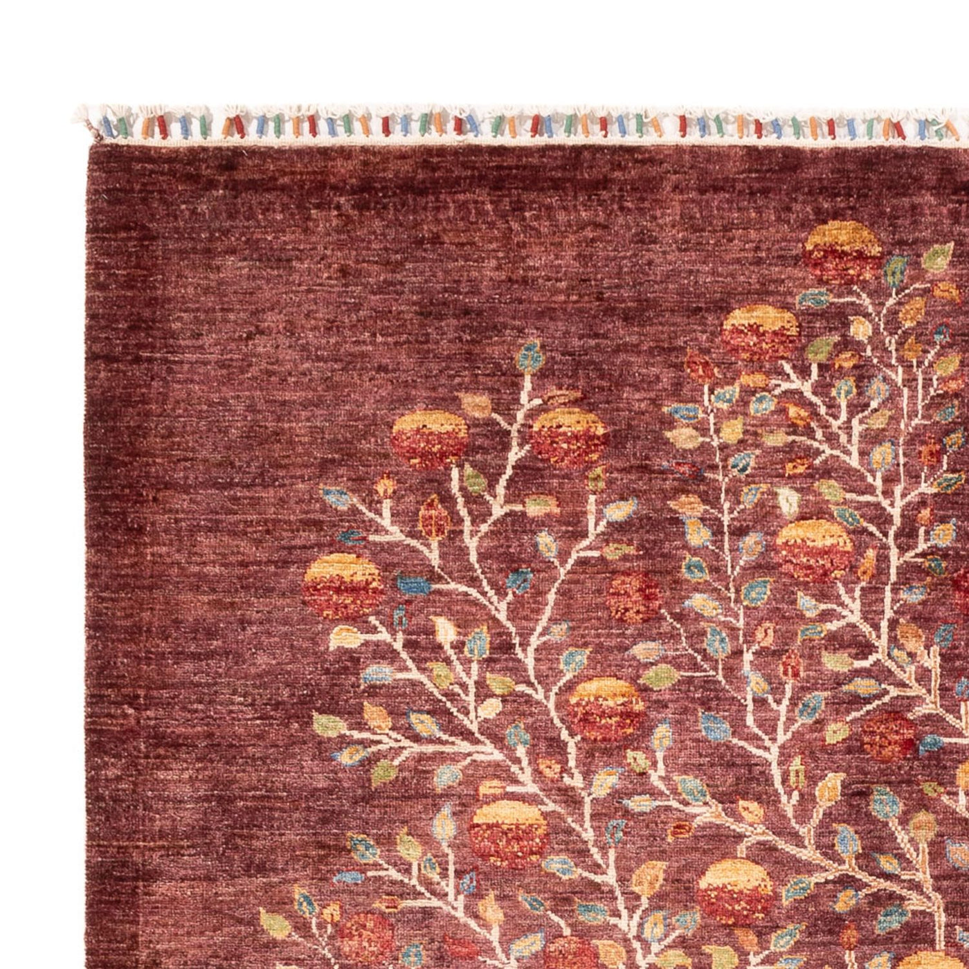 Ariana Tapis 240x175cm - Tapis oriental