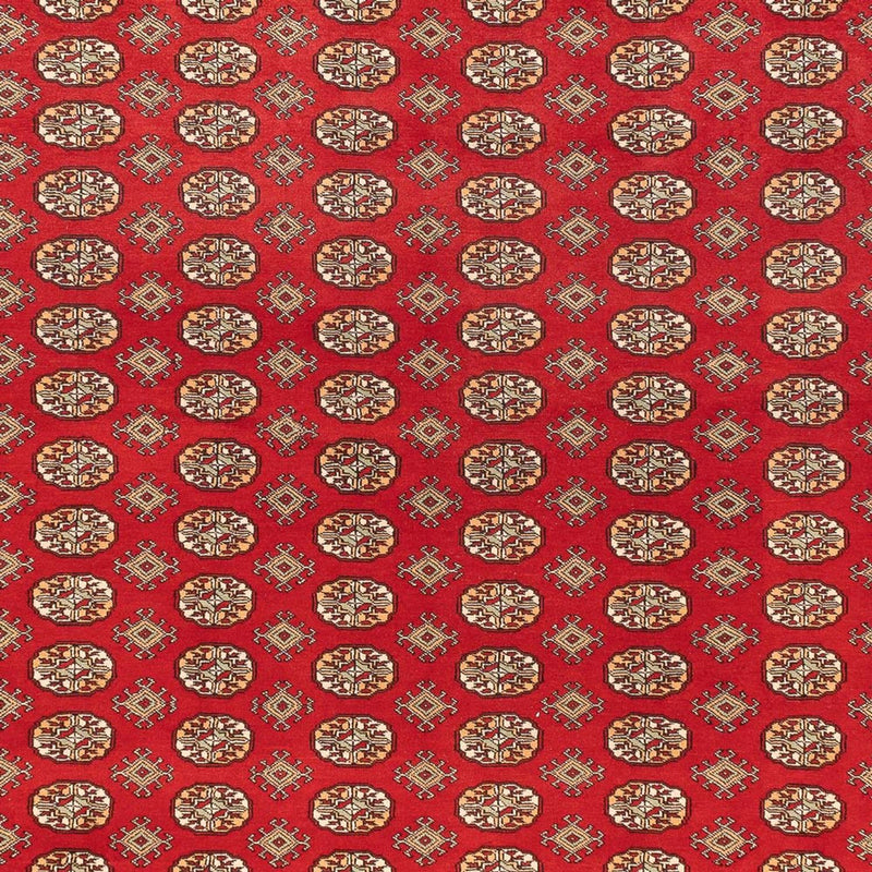 Afghan Teppich - Buchara - 418 x 310 cm - hellrot