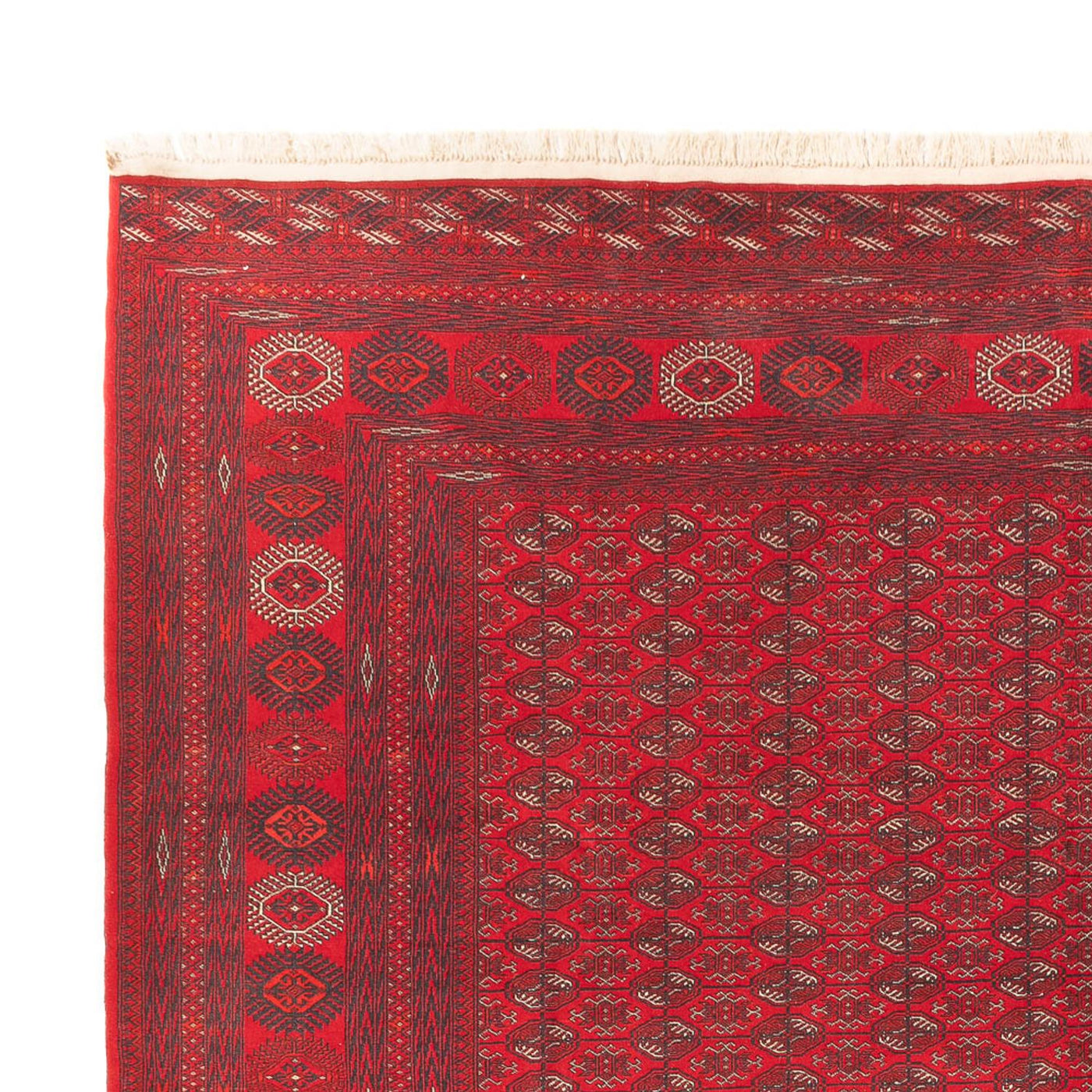 Afghan Teppich 400x305cm - Orientteppich